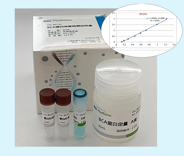 3-BCA蛋白浓度测定试剂盒